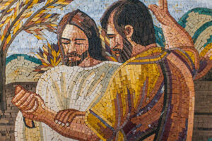 John the Baptist Catholic Primary School Bonnyrigg Heights
